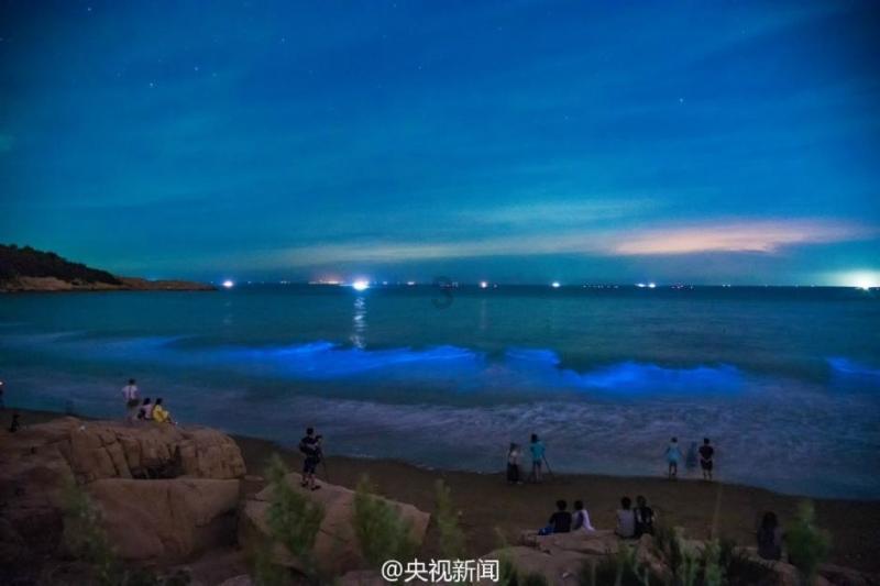 当年中奖一亿的信小呆，后来却沦为“诈骗犯”，你知道是什么原因吗？游戏画面