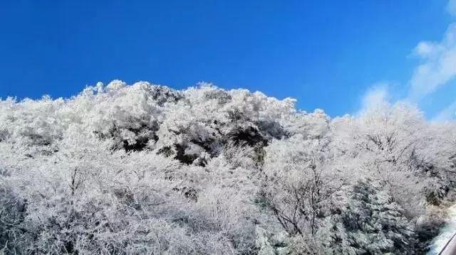 小白菜豆腐怎么做？