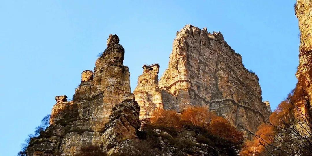 远不止“鸥”遇，这是人与城的双向奔赴