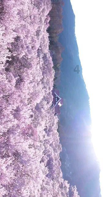 非暴力沟通的组成要素包括游戏画面