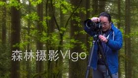 云南镇雄山体滑坡44名失联人员全部遇难