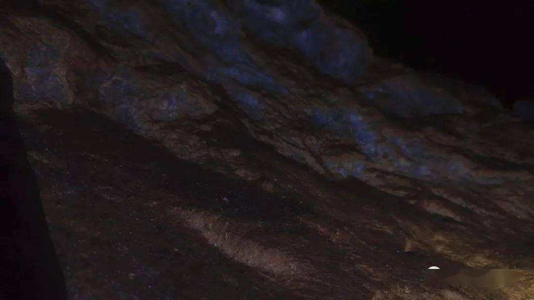 奥日与精灵意志
