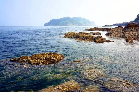 卡姆登市场