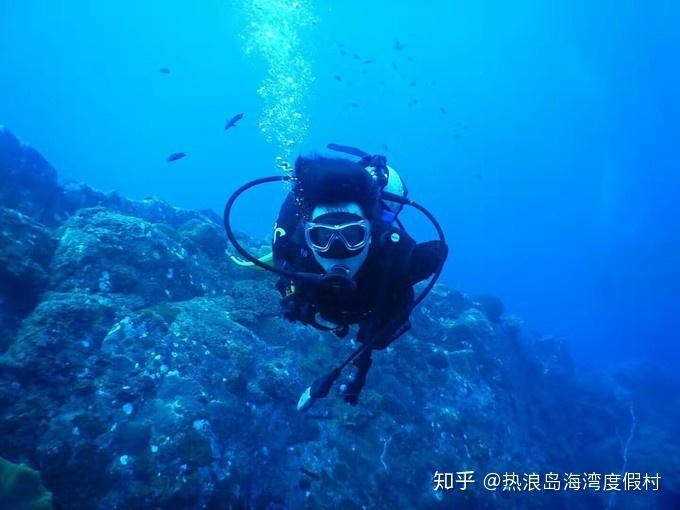 燃烧吧大脑免广告最新版