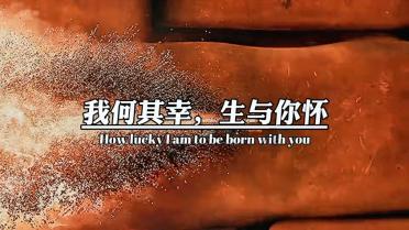 异形：隔离
