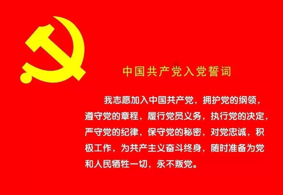 新手入门必备:《幻兽帕鲁》能力加点策略解析!