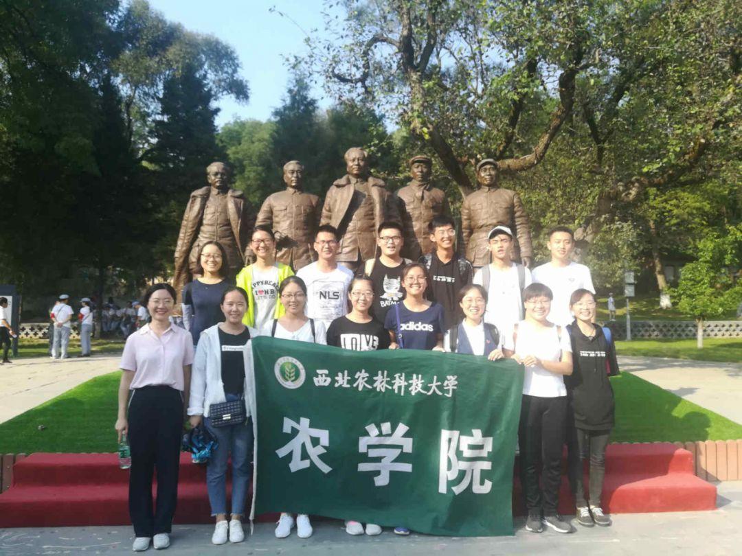 现在有不少的实木地暖地板加盟品牌，哪些品牌靠谱呢？游戏画面