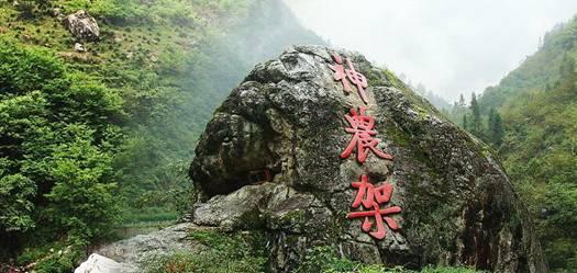 伊诺拉复仇记