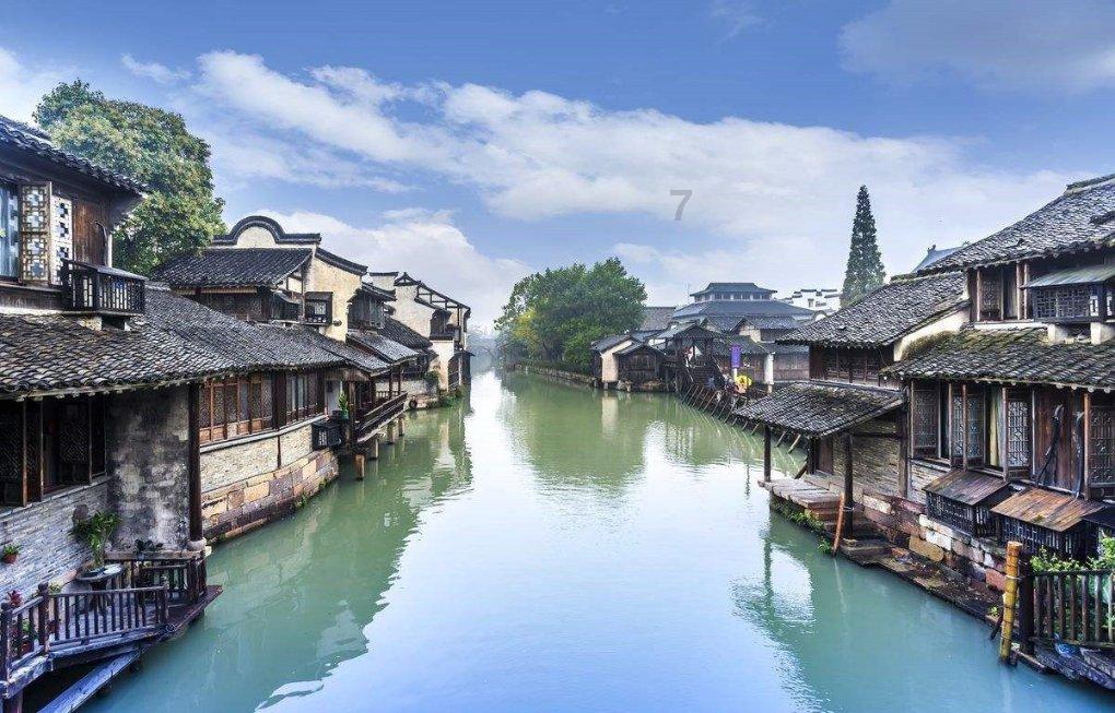 植物大战僵尸4